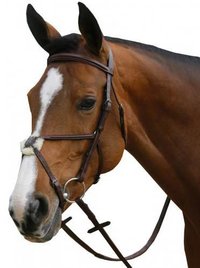 Horse Nose Bands