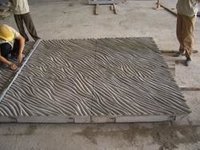 Barley Seed