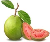 Guava Pulp
