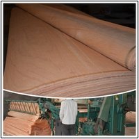 Gurjan Face Veneer