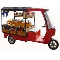 Customized E-Rickshaw