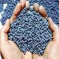 Cotton Hybrid Seeds