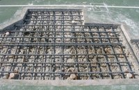 Structural Audit Services