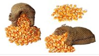 Maize Whole