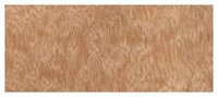 Euro Fire Retardant Plywood