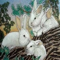 Decorative Rabbit Painting