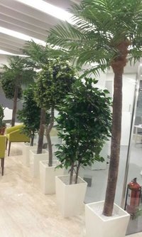 Artificial Plants