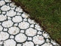 Grass Pavers