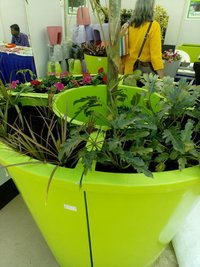 Plastic Tree Planters