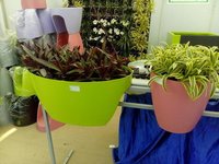 Railing Planter