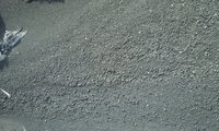 8/10 Roasted Bentonite Granules