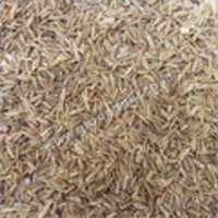 Cumin Seeds