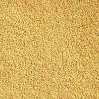 Yellow Mustard Seed