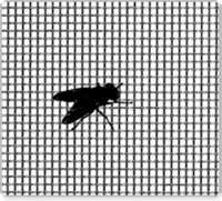 Stainless Steel Mosquito Mesh