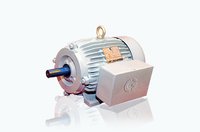 CI Body Motors