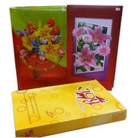 5x7 LD Photo Albums