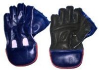 Wicket Keeping Gloves