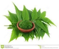 Organics Purify Fresh Neem Leaves