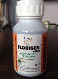 Florigen Pheno
