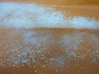Precipated Calcium Carbonate