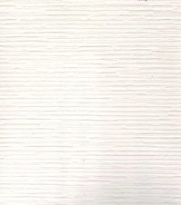 Egg. White Wood Scalp
