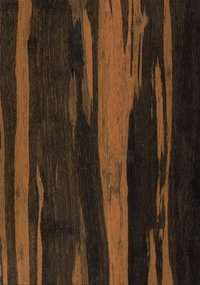 Sap Copper Gloss
