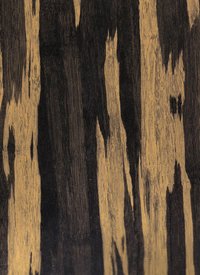 Sap Gold Gloss