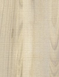 Winter Maple Legeno Wood