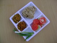 5 Partition Dinner Plates