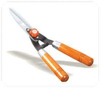 Hedge Shears