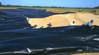 Pond Liner Film