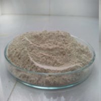 Diatomaceous Earth