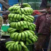 Farm Fresh Banana