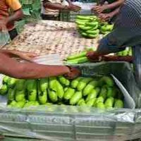 Raw Banana