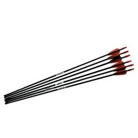 Barnett Junior Target Practice Carbon Fibre Arrows Set Of Six