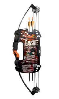 Team Realtree Banshee Quad