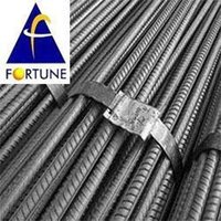 Fortune TMT Steel Bar