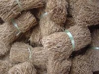 Aromatic Roots