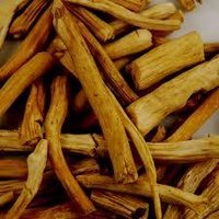 Ashwagandha Roots
