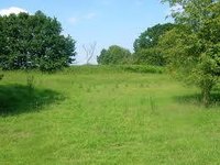 Agricultural Land Selling Service