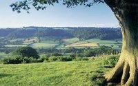 Land For Sell