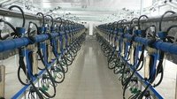 Milking Parlor