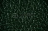 Green Leather