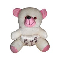 Long Lasting Teddy Bear