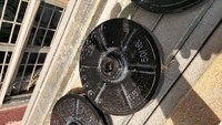 DB 50/16 Pump Impellers