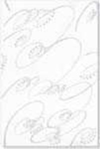200X300 Ceramic Wall Tiles