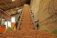 Industrial Bio Fuel Pellet