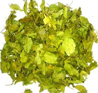 Gymnema Sylvestre