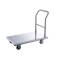 Platform Trolley