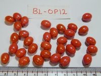 Red Glass Beads